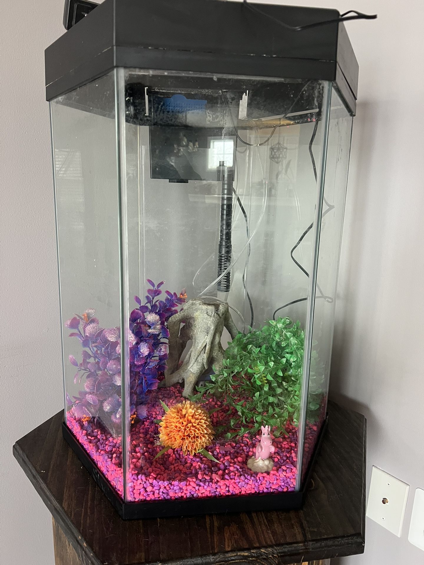 20 Gallon Fish Tank With Hood