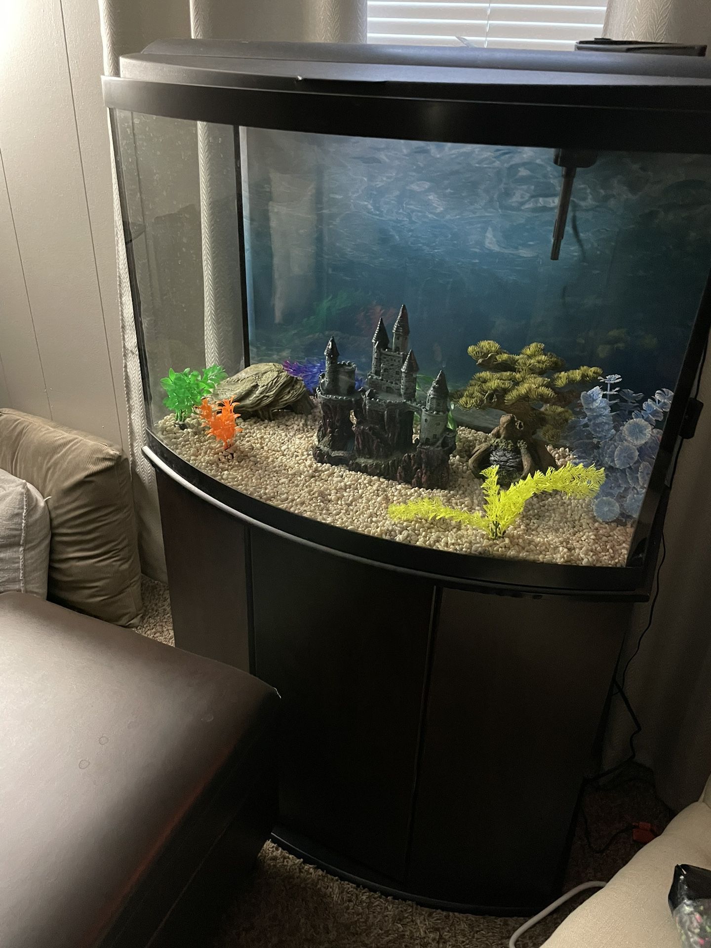 30 Gallon Fish Tank And Stand
