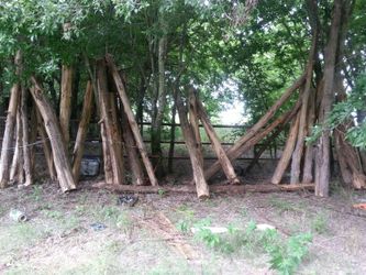 Cedar logs and posts.make me an offer. I know what there worth so please dont offer something ridicules.