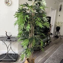 Pretty artificial plant 6 ft tall bamboo tree! Brand new