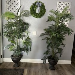 Fake Plant 