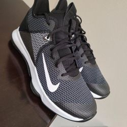 Lebron Nikes
