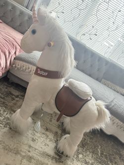 Pony Horse 🐴 