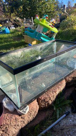 20gal fish tank 20$. Pick up. E.  72. and. Grandview. E. Tacoma