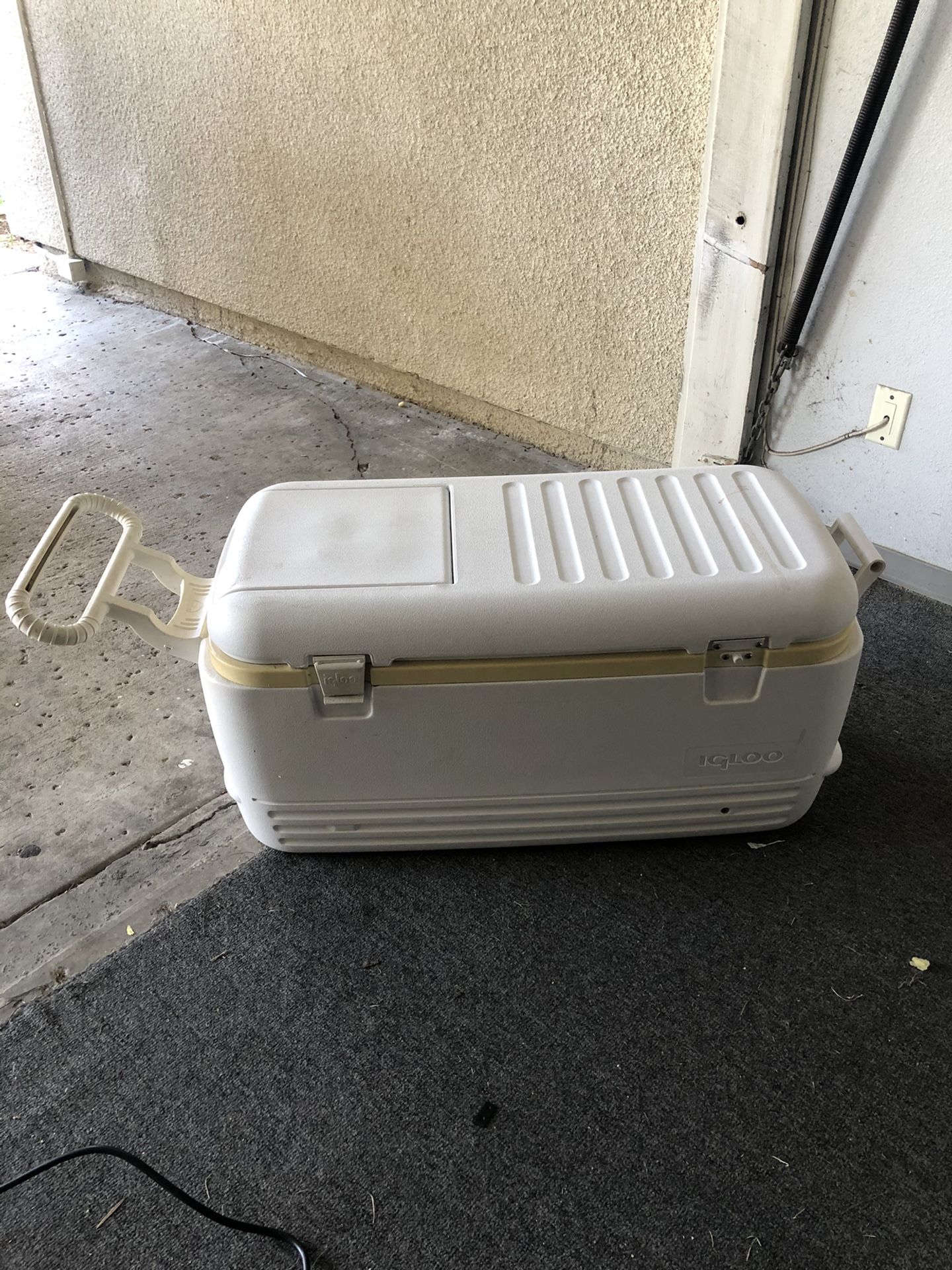 Igloo Ice Chest