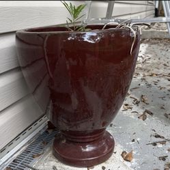 READ POST* Pots Plants Ceramic 