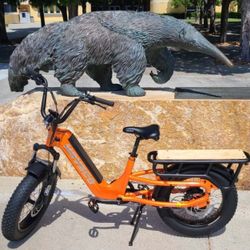 Premium Cargo Ebike In Limited Time Sale 