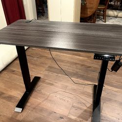Computer Sit/Stand Desk