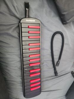 Brand New Evanbaek Melodica $15