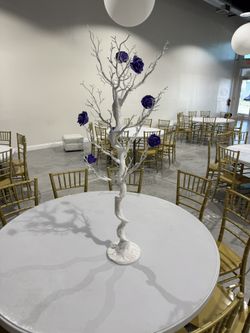 Decorative White Manzanita Tree