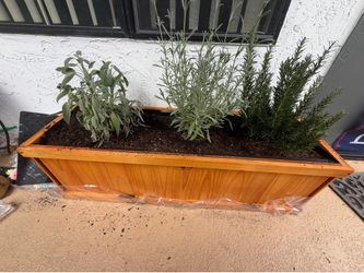 Beautiful herb garden