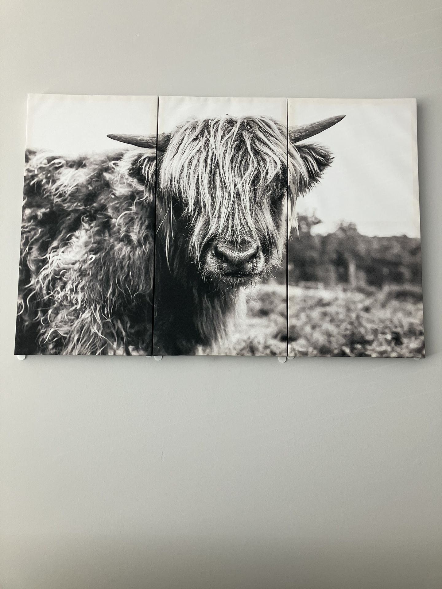 Large 3 Piece Buffalo Canvas