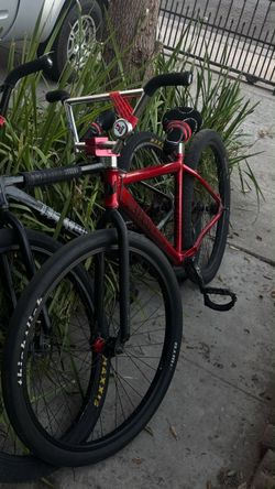 NEED IT GONE 600 RED COROLINE