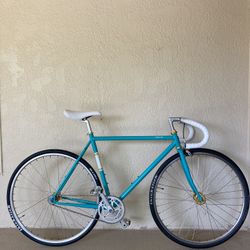 Pure Fix Single Speed / Fixed Gear 