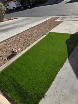 Turf, pasto