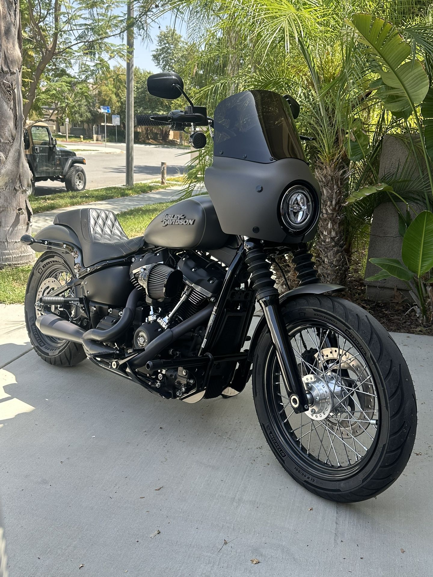 2019 Harley Davidson Street bob