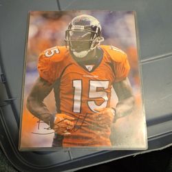 Brandon Marshall 