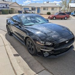 2019 Ford Mustang