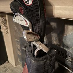 Custom Killer Bee Youth Sized Golf Club Set. 