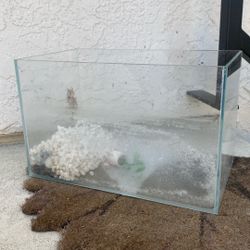 Fish Tank + Accessories