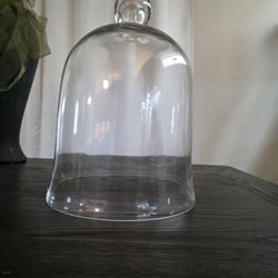 Kloche Or Glass Dome Extra Large. New