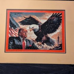 President Trump Five Dimension Diamond Art