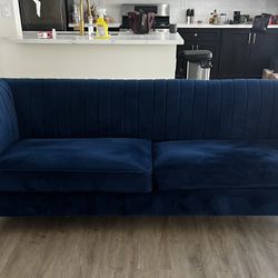 Blue velvet Sofa 