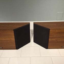 Bose 2.2 Vintage Speakers 