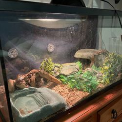 Reptile terrarium