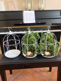 Decorative Metal Bird Cages
