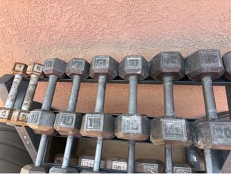 Dumbbells 5-20