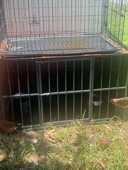 Two dog cages