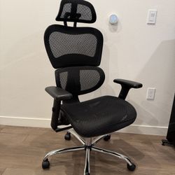 Ergonomic Office Chair