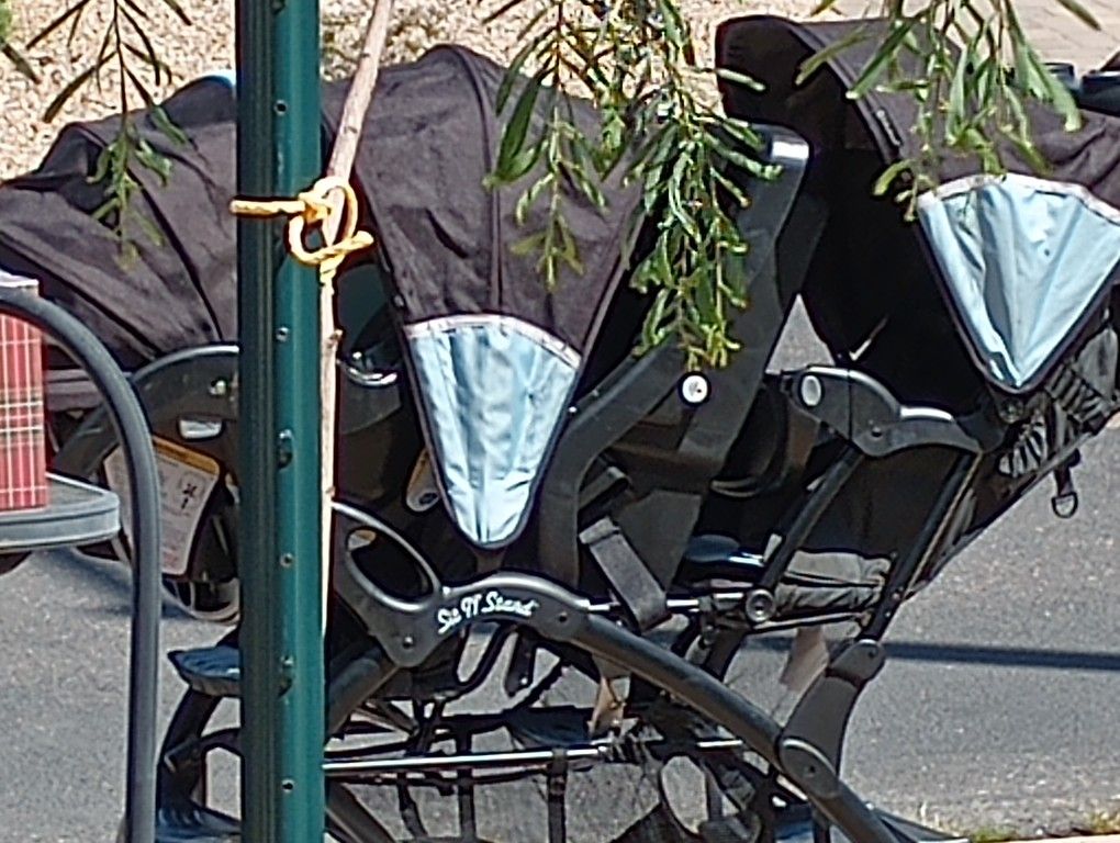 Double Stroller 