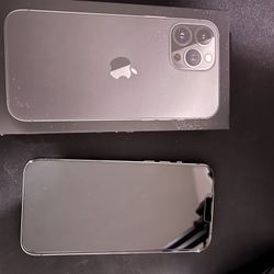 iPhone 13 Pro Max (AT&T) 1Tb