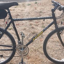 Custom  Built Raleigh USA 21 Speed