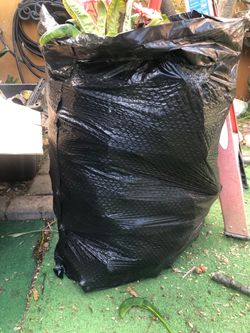 Big bag of plumerias