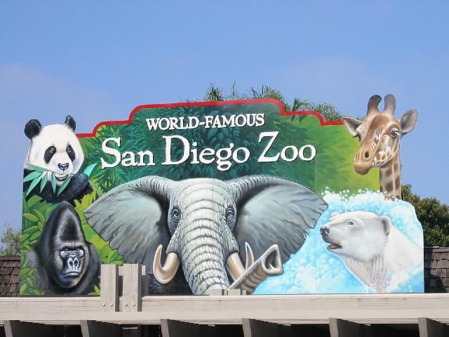 2 san diego zoo tickets $40 each expire 12/31