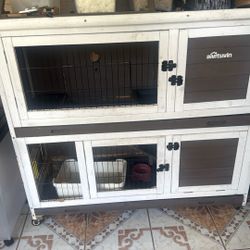 Rabbit house