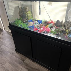 75 Gallon Tank Comes Wit Allot Decor 
