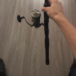 Darwin Laguna 4000 Lt With Pen Allegiance 7 Foot Extra Fast, Action Rod, Medium Light