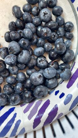 Fresh Organic Blueberries