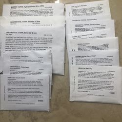 12 Pks Of Garden Vegetable Seeds