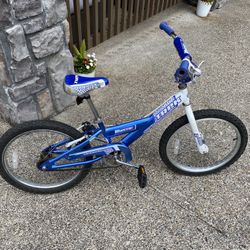 Trek Mystic Youth Bike 20”