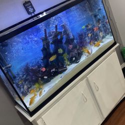 60 Gallon Fish tank 