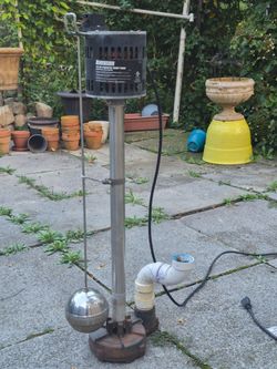 Barracuda 1/2 HP pedestal sub pump