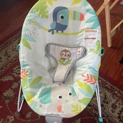 Baby Bouncer