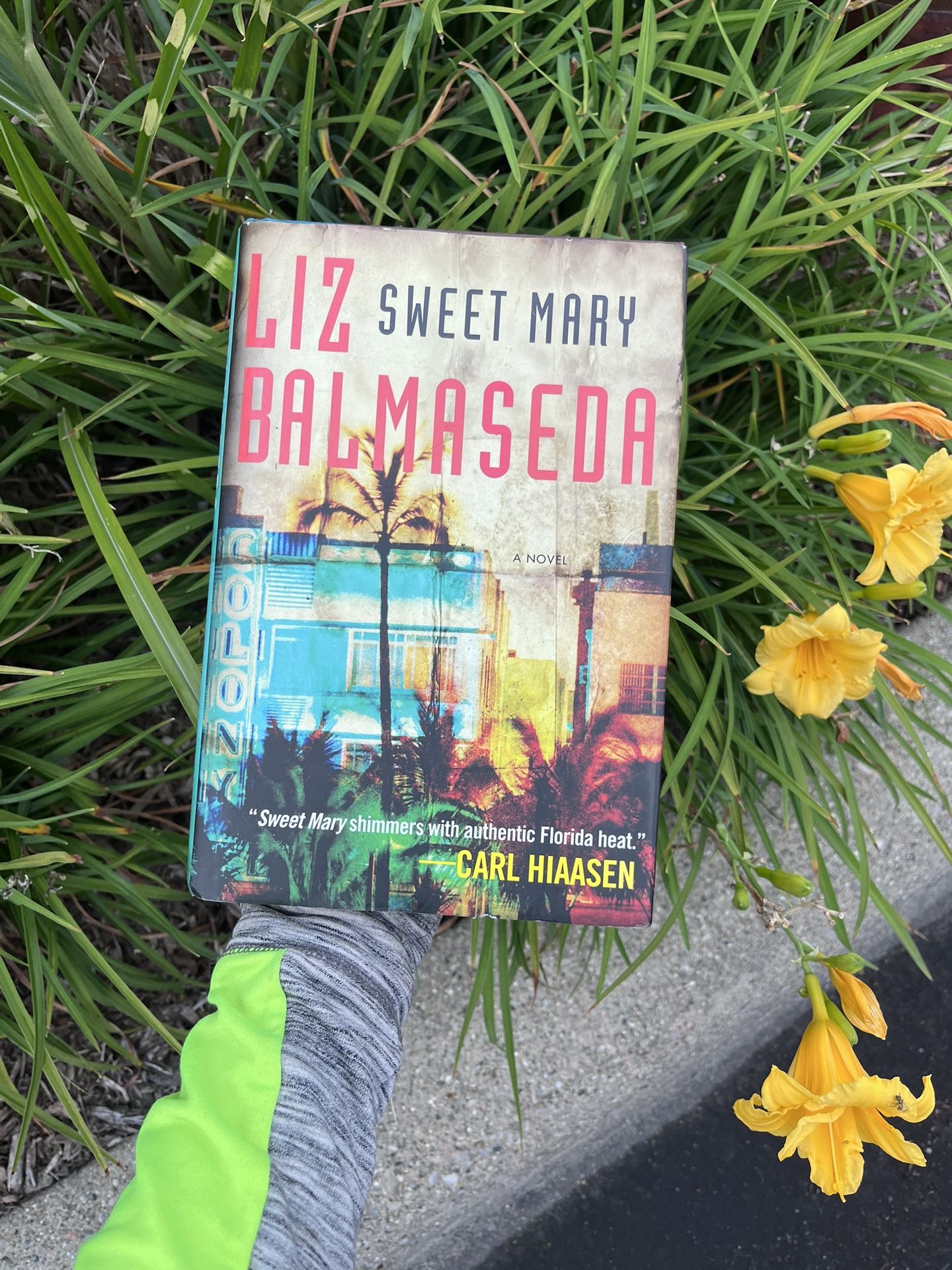Sweet Mary by Liz Balmaseda – Hardcover Mystery Thriller
