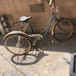 Bike 