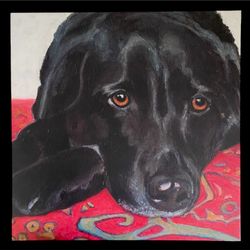 Dlynn’s Dog Tallulah 24x24x1-1/2